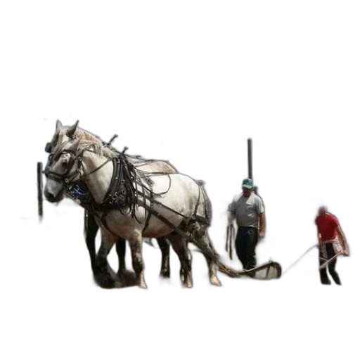 animal, staff, creature, weapon, concept art, 3d render, fantasy art, photorealistic transparent PNG cut-out
