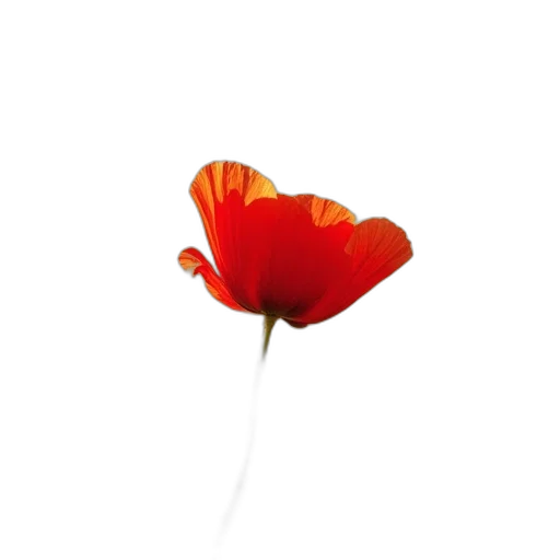 flower, crown, weapon, hat, photorealistic, 3d render, red, colorful transparent PNG cut-out