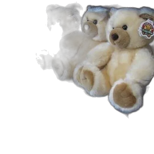 3d render, display, teddy, bears, tags, them transparent PNG cut-out