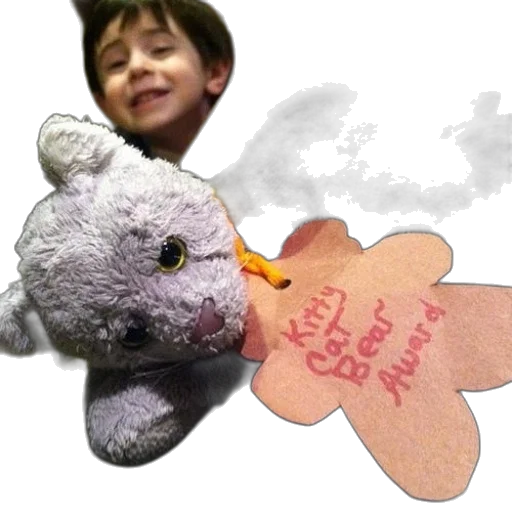 dragon, animal, photorealistic, stuffed, tag, says, kitty, cat transparent PNG cut-out