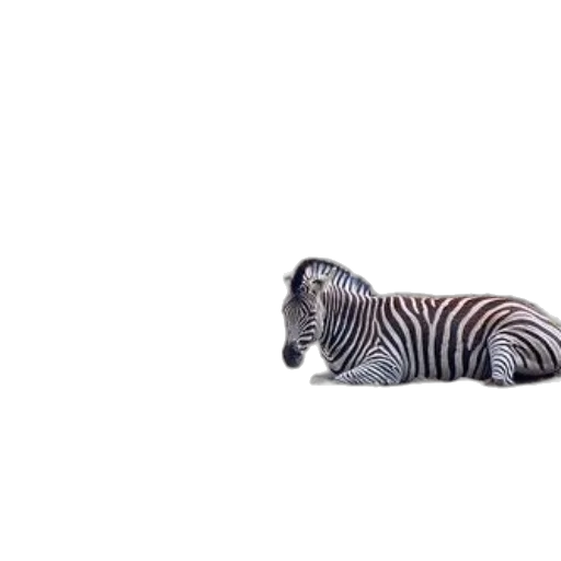 animal, creature, hair, hat, 3d render, photorealistic, concept art, vaporwave transparent PNG cut-out