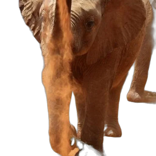 animal, creature, staff, mask, photorealistic, 3d render, concept art, oil painting transparent PNG cut-out