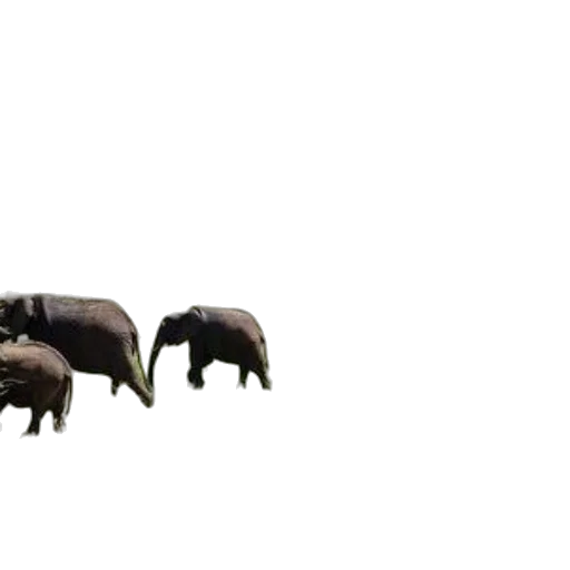 animal, creature, dragon, weapon, 3d render, concept art, photorealistic, pixel art transparent PNG cut-out