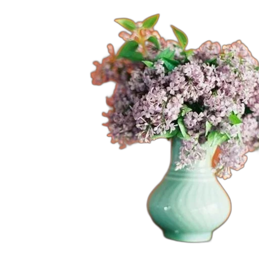 crown, flower, photorealistic, 3d render, pastel, green, earth tones, monochrome transparent PNG cut-out