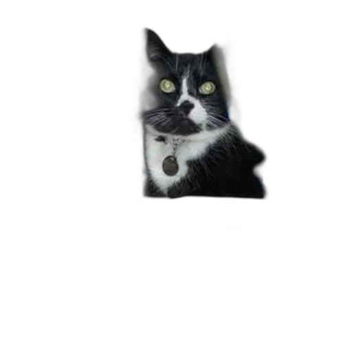 animal, staff, creature, robot, photorealistic, pixel art, 3d render, concept art transparent PNG cut-out