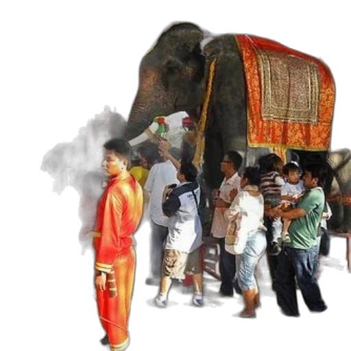 animal, concept art, group, people, stand, around, elephant, wearing transparent PNG cut-out