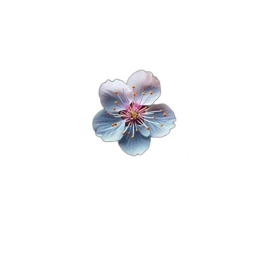 flower, jewelry, crown, umbrella, 3d render, photorealistic, vaporwave, watercolor transparent PNG cut-out