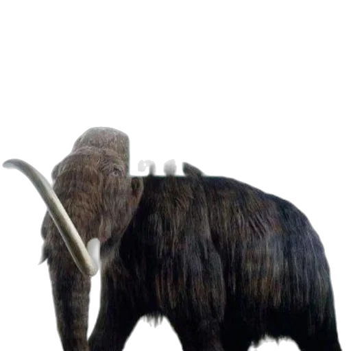 animal, creature, staff, weapon, concept art, 3d render, photorealistic, fantasy art transparent PNG cut-out