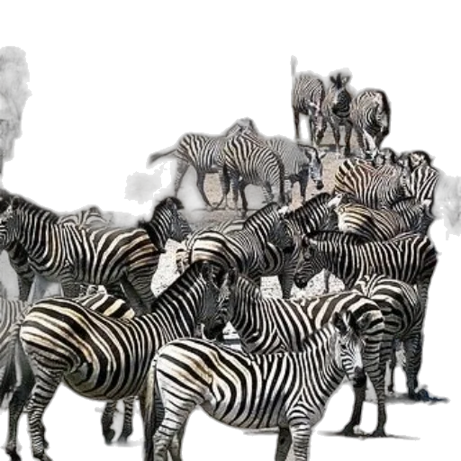 animal, creature, concept art, photorealistic, fantasy art, 3d render, forest, monochrome transparent PNG cut-out