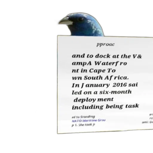 outer space, bird, perched, branch, text, overlay, about, docking transparent PNG cut-out