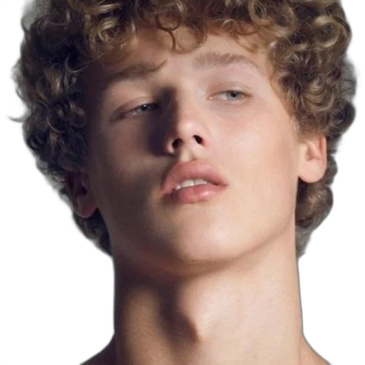face, hair, crown, creature, photorealistic, 3d render, youthful, man transparent PNG cut-out