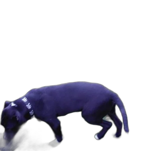 animal, creature, staff, robot, 3d render, photorealistic, concept art, watercolor transparent PNG cut-out