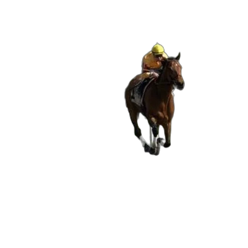 hat, animal, staff, creature, pixel art, concept art, photorealistic, 3d render transparent PNG cut-out