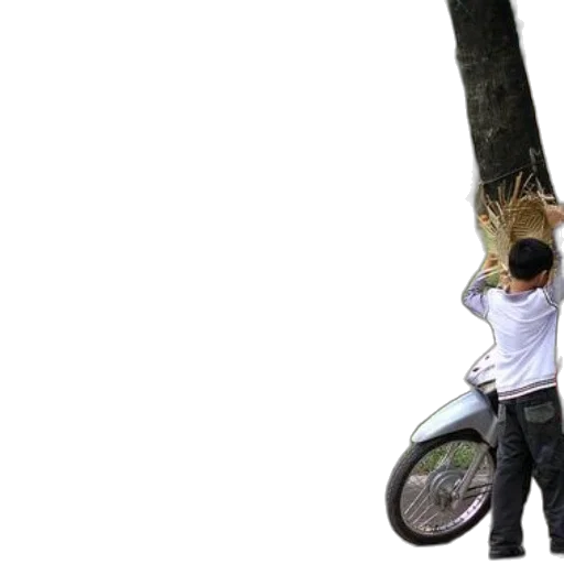 tree, umbrella, weapon, staff, photorealistic, 3d render, concept art, forest transparent PNG cut-out