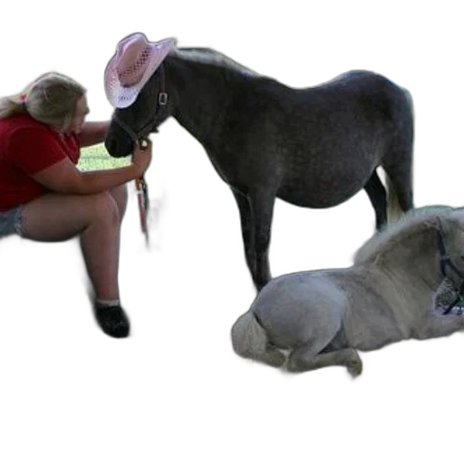animal, creature, hat, staff transparent PNG cut-out