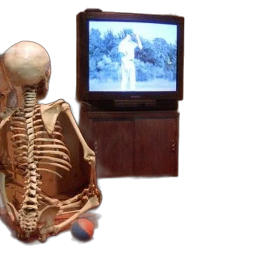robot, skeleton, sits, couch, watching, while, dog, stands transparent PNG cut-out