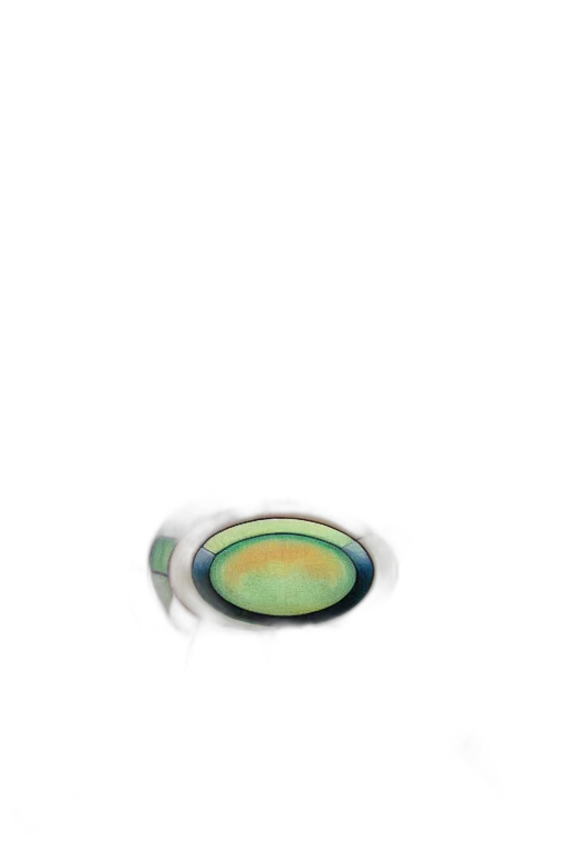 jewelry, hat, food, hair, 3d render, outer space, pastel, green transparent PNG cut-out
