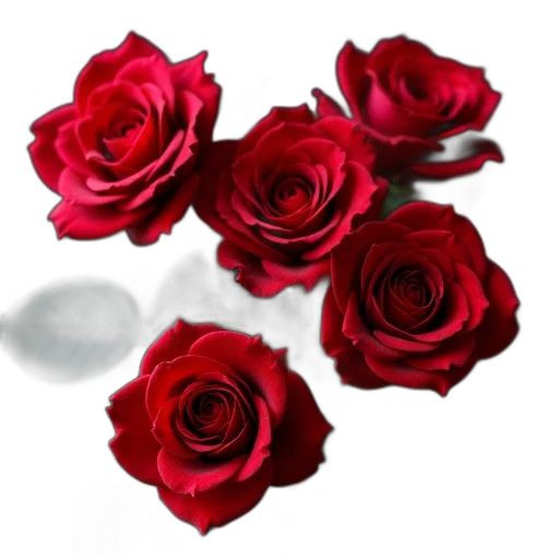 flower, jewelry, crown, photorealistic, 3d render, oil painting, pixel art, red transparent PNG cut-out