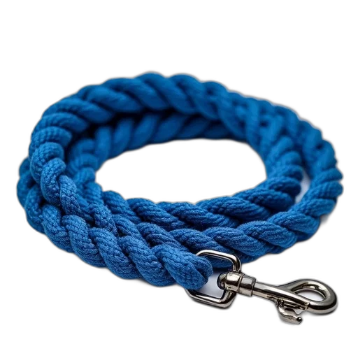 jewelry, blue, rope, dog transparent PNG cut-out