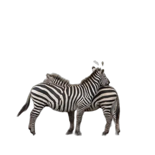 animal, creature, furniture, jewelry, 3d render, concept art, photorealistic, fantasy art transparent PNG cut-out