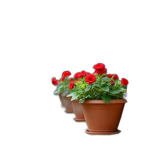 flower, crown, hat, 3d render, photorealistic, red, terracotta, pot transparent PNG cut-out