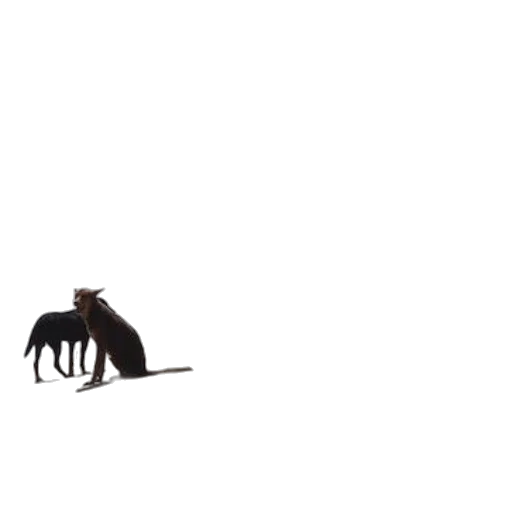 animal, hair, creature, dragon, concept art, 3d render, pixel art, photorealistic transparent PNG cut-out