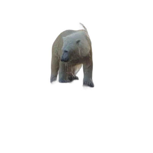 animal, creature, face, staff, 3d render, photorealistic, concept art, pixel art transparent PNG cut-out