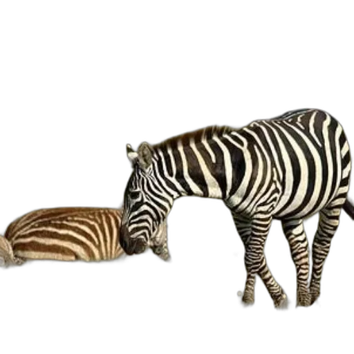 animal, creature, jewelry, furniture, concept art, 3d render, photorealistic, fantasy art transparent PNG cut-out