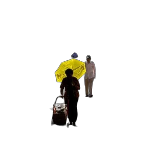 umbrella, hat, staff, jacket, 3d render, concept art, photorealistic, pixel art transparent PNG cut-out