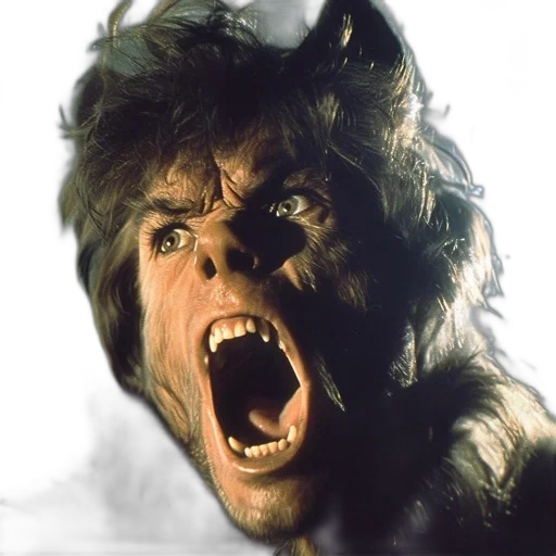 animal, creature, face, photorealistic, concept art, close-up, fierce, werewolf transparent PNG cut-out