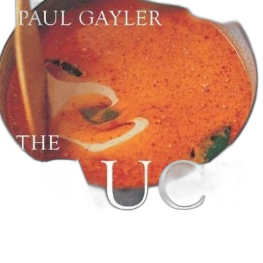 food, face, jacket, photorealistic, sauce, book, paul, gayler transparent PNG cut-out