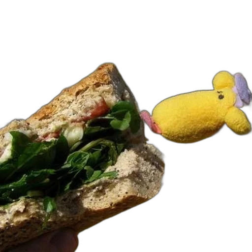 food, animal, creature, dragon, photorealistic, 3d render, stuffed, holds transparent PNG cut-out