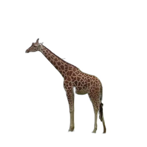 animal, creature, staff, weapon, 3d render, concept art, photorealistic, pixel art transparent PNG cut-out