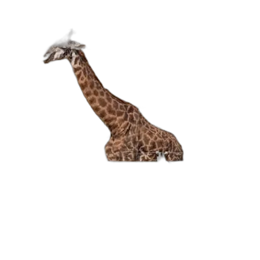 animal, creature, hat, staff, pixel art, 3d render, concept art, photorealistic transparent PNG cut-out