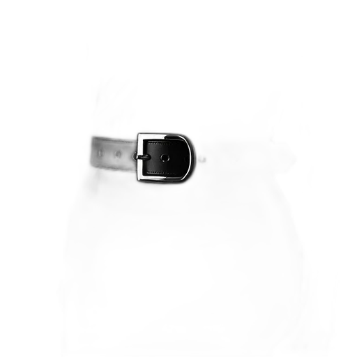 jewelry, crown, robot, car, 3d render, monochrome, patent, belt transparent PNG cut-out