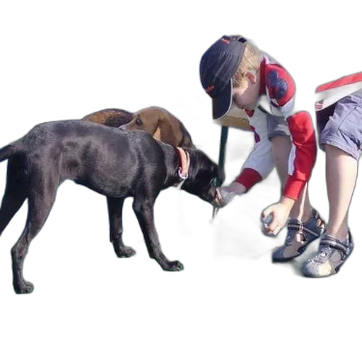 animal, shoes, hat, 3d render, photorealistic, concept art, boy, red transparent PNG cut-out