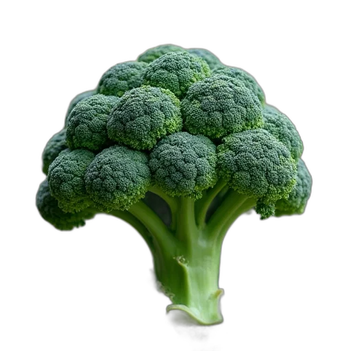 food, crown, weapon, animal, photorealistic, 3d render, green, broccoli transparent PNG cut-out