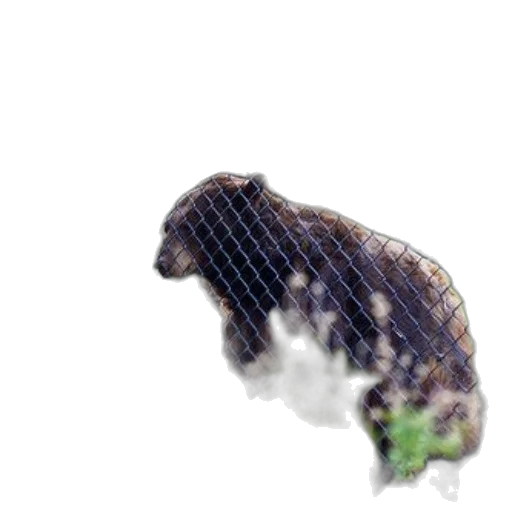 animal, creature, hair, dragon, photorealistic, 3d render, pixel art, concept art transparent PNG cut-out