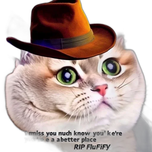 hat, animal, staff, face, photorealistic, illustration, features, feline transparent PNG cut-out