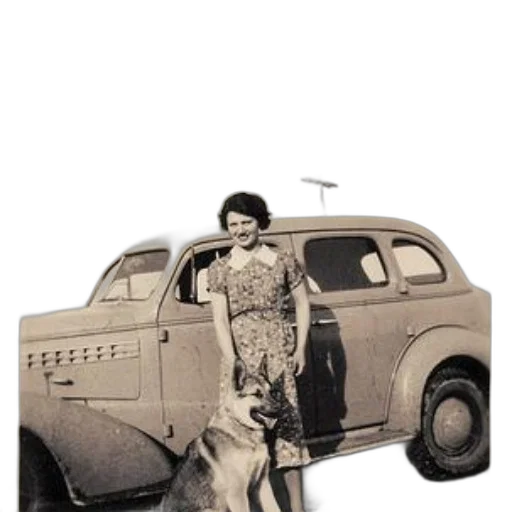 car, animal, dress, staff, photorealistic, concept art, woman, floral transparent PNG cut-out