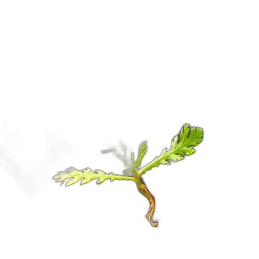 staff, dragon, weapon, tree, concept art, 3d render, photorealistic, fantasy art transparent PNG cut-out