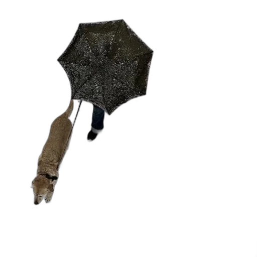 umbrella, staff, weapon, sword, 3d render, concept art, photorealistic, fantasy art transparent PNG cut-out