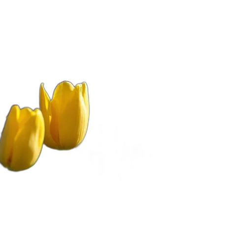 jewelry, crown, flower, shoes, 3d render, photorealistic, concept art, yellow transparent PNG cut-out