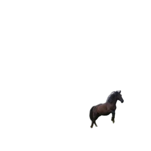 animal, creature, hair, dragon, pixel art, 3d render, concept art, photorealistic transparent PNG cut-out