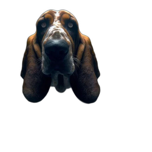 animal, face, creature, staff, photorealistic, 3d render, concept art, large transparent PNG cut-out