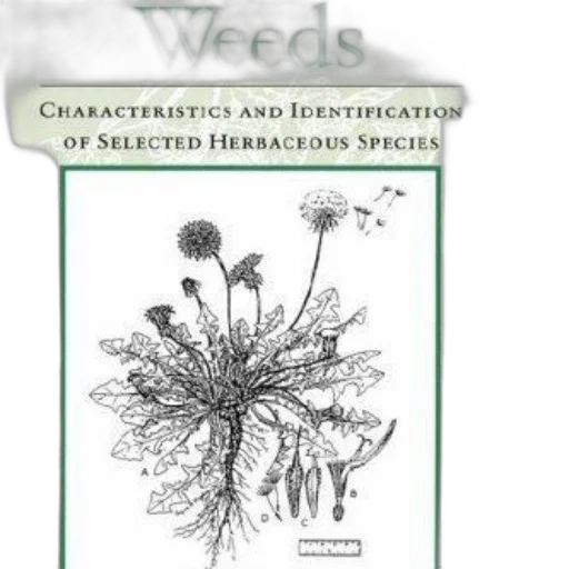 book, cover, green, background, featuring, illustration, plant, titled transparent PNG cut-out
