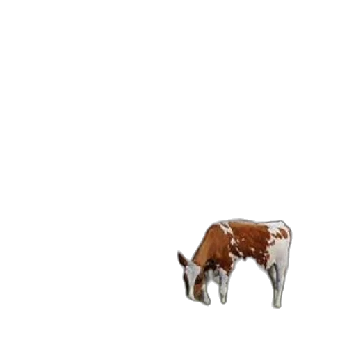 animal, furniture, jewelry, food, 3d render, photorealistic, concept art, pixel art transparent PNG cut-out