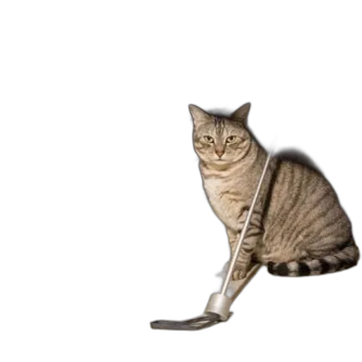 staff, animal, creature, weapon, photorealistic, 3d render, concept art, pixel art transparent PNG cut-out