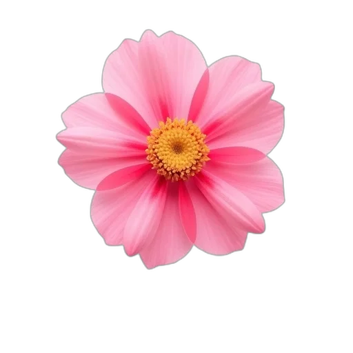 flower, crown, jewelry, staff transparent PNG cut-out