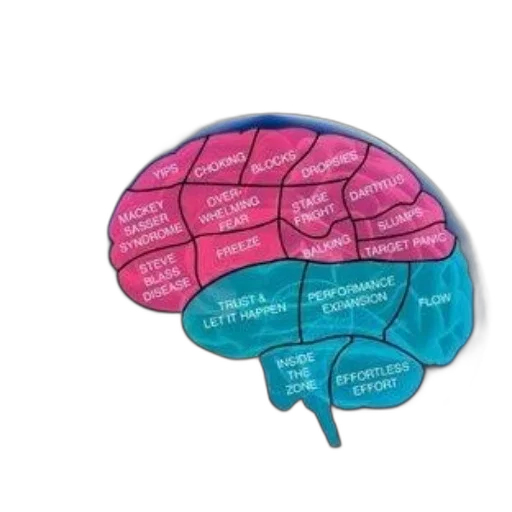 crown, hat, jacket, image, book, cover, titled, brain transparent PNG cut-out